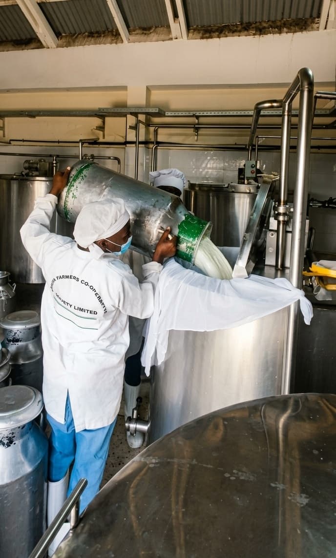 processing